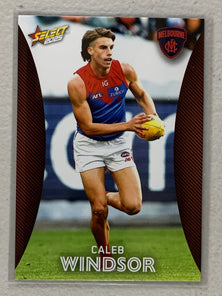 #121 Caleb Windsor - Melbourne - AFL Commons - 2025 AFL Footy Stars