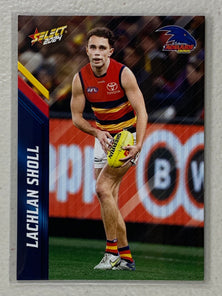 #008 Lachlan Sholl - Adelaide Crows - AFL Common - 2024 AFL Footy Stars