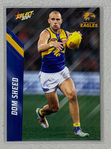 #169 Dom Sheed - West Coast Eagles - AFL Common - 2024 AFL Footy Stars