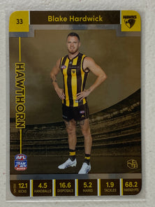 #33 Blake Hardwick - Hawthorn Hawks - AFL Silver - 2023 AFL Team Coach