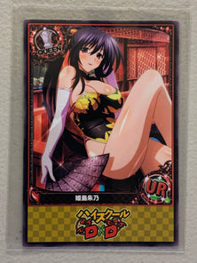 Akeno Himejima - High School DxD - Anime Doujin Card