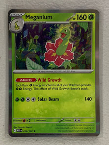 Meganium Holo - Rare #010/132 - Pokemon ME01: Mega Evolutions