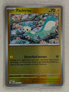 Pachirisu Reverse Holo - Common #051/132 - Pokemon ME01: Mega Evolutions