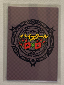 Irina Shidou & Rossweisse - High School DxD - Anime Doujin Card