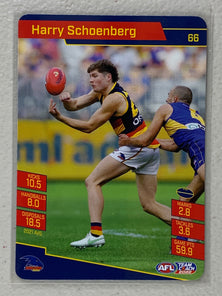 #66 Harry Schoenberg - Adelaide Crows - AFL Common - 2022 AFL Team Coach