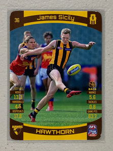#36 James Sicily - Hawthorn Hawks - AFL Common - 2021 AFL Team Coach